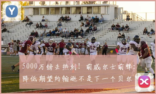 5000万镑去热刺！前威尔士前锋：降低期望约翰逊不是下一个贝尔