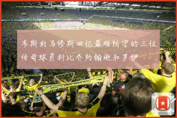 韦斯利马修斯回忆最难防守的三位传奇球员科比乔约翰逊和罗伊