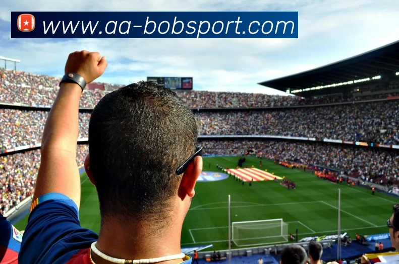 BOB足球平台生态图